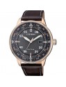 Orologio Citizen Aviator Uomo BM7393-16H